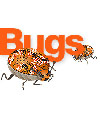 What's a Bug website