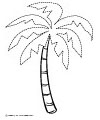 palm tree tracing