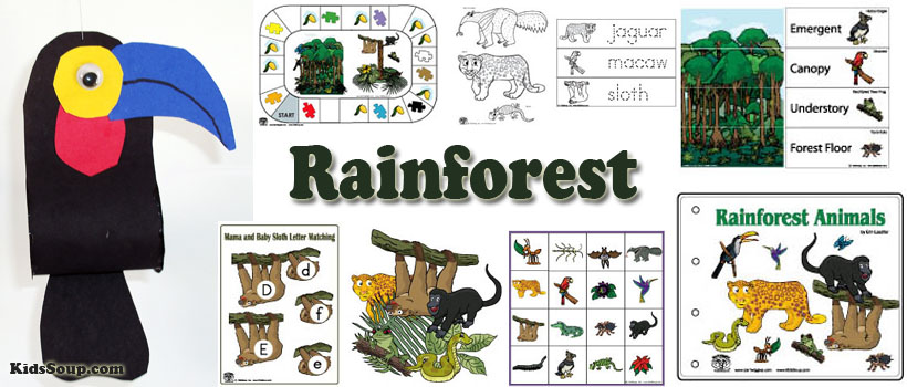 Rainforest activities and crafts for preschool and kindergarten