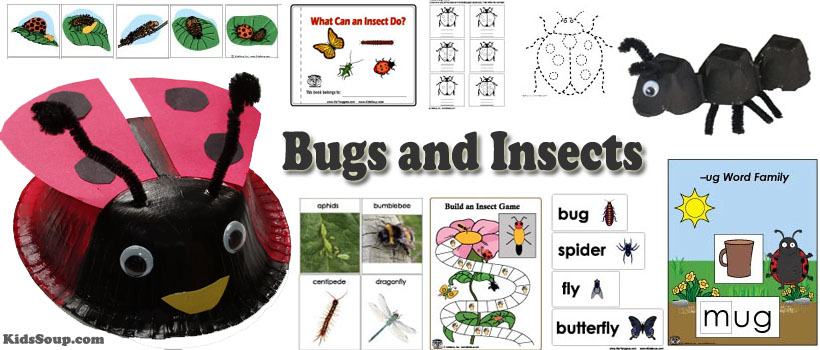 Bugs and insects activities and lessons for preschool and kindergarten