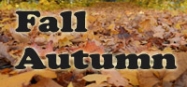Fall and Autumn themes for preschool and kindergarten