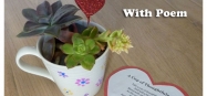 Mother's Day gift idea and preschool craft 