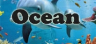 Ocean animals preschool and kindergarten themes