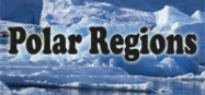 Polar regions themes for preschool and kindergarten