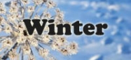 Winter themes for preschool and kindergarten